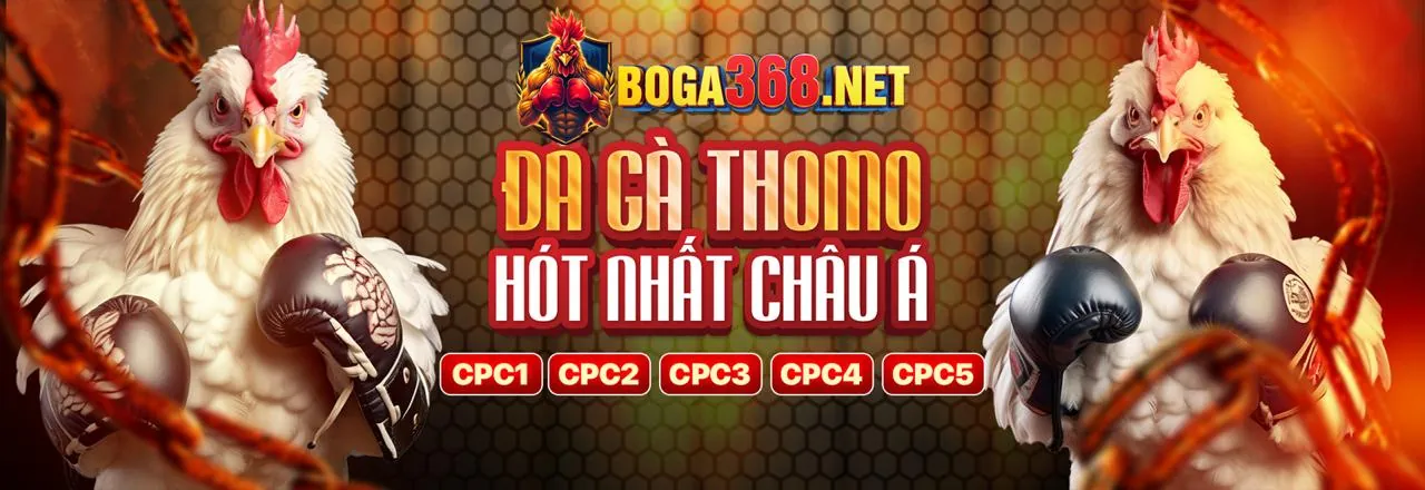 Tổng quan nền tảng 7club với các trò chơi cá cược trực tuyến